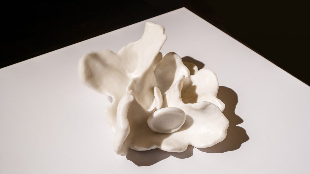 unknown vibrating object (2020)