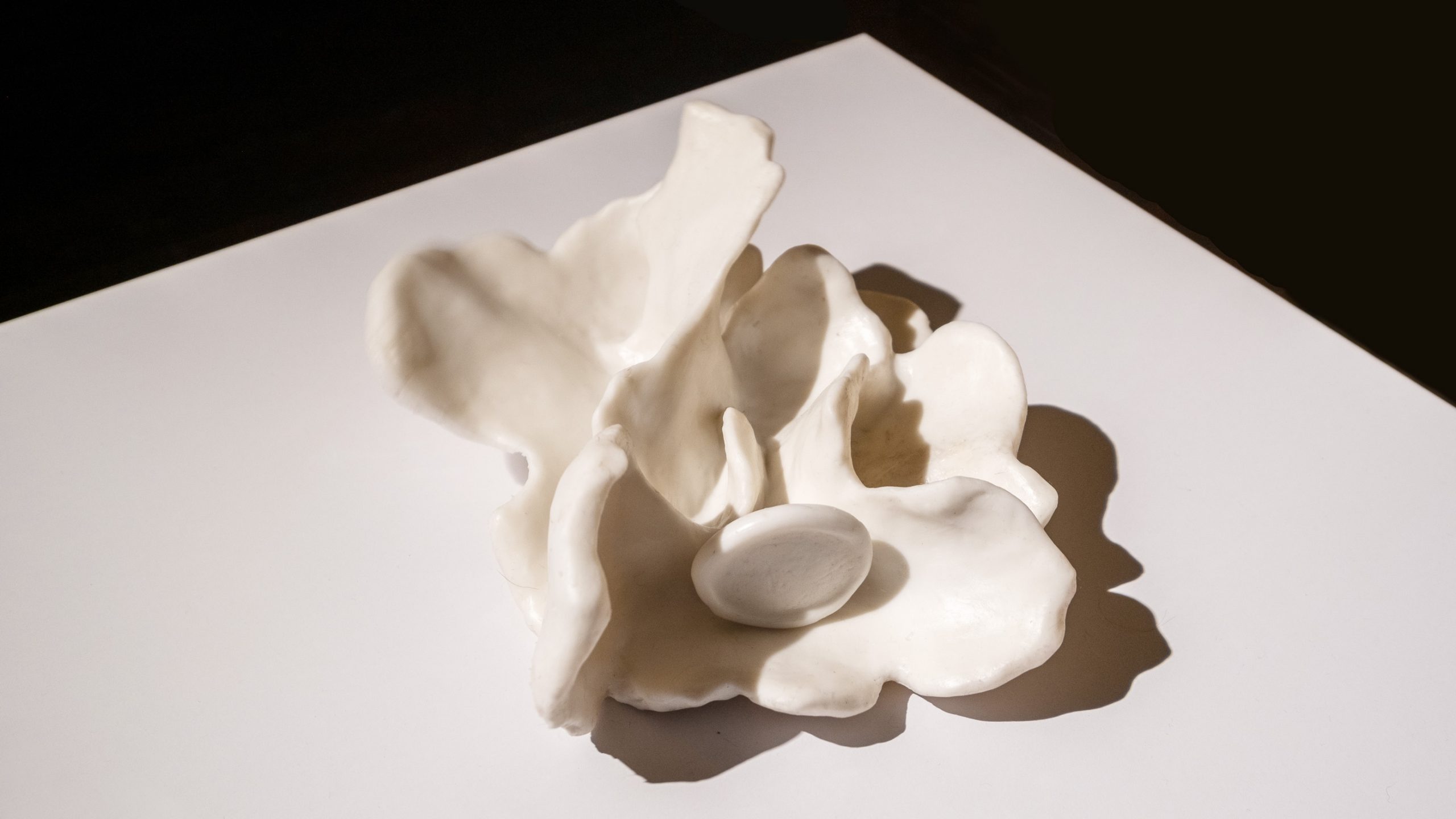 unknown vibrating object (2020)