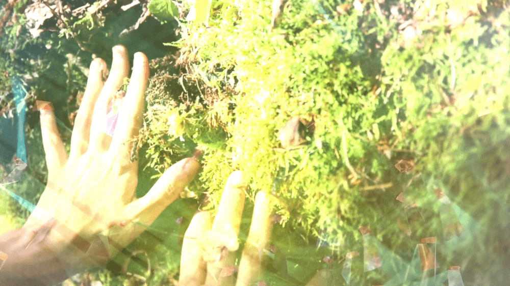 Journey to the Other (2019)